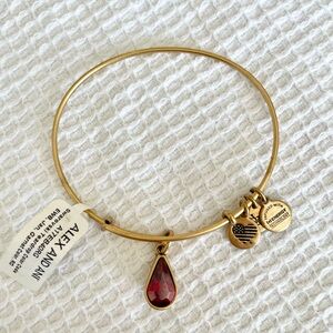 Alex and Ani January Garnet Birthstone Bangle Bracelet